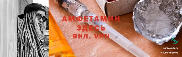твердый Бородино