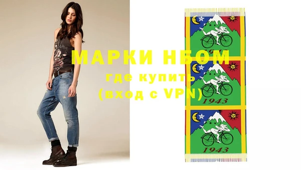 твердый Бородино