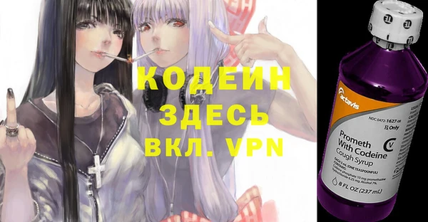 твердый Бородино